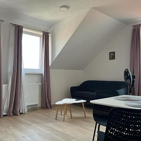 Sabina Apartaments Sfântu-Gheorghe エクステリア 写真