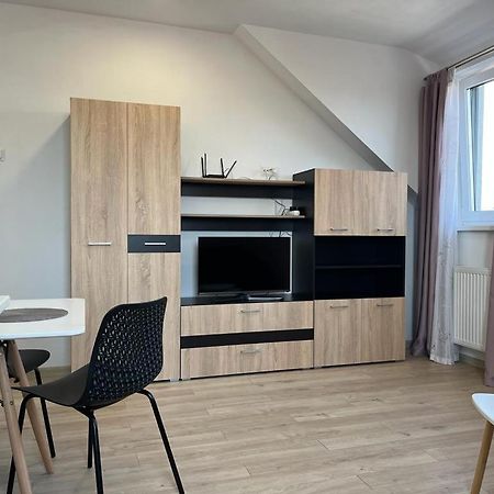 Sabina Apartaments Sfântu-Gheorghe エクステリア 写真