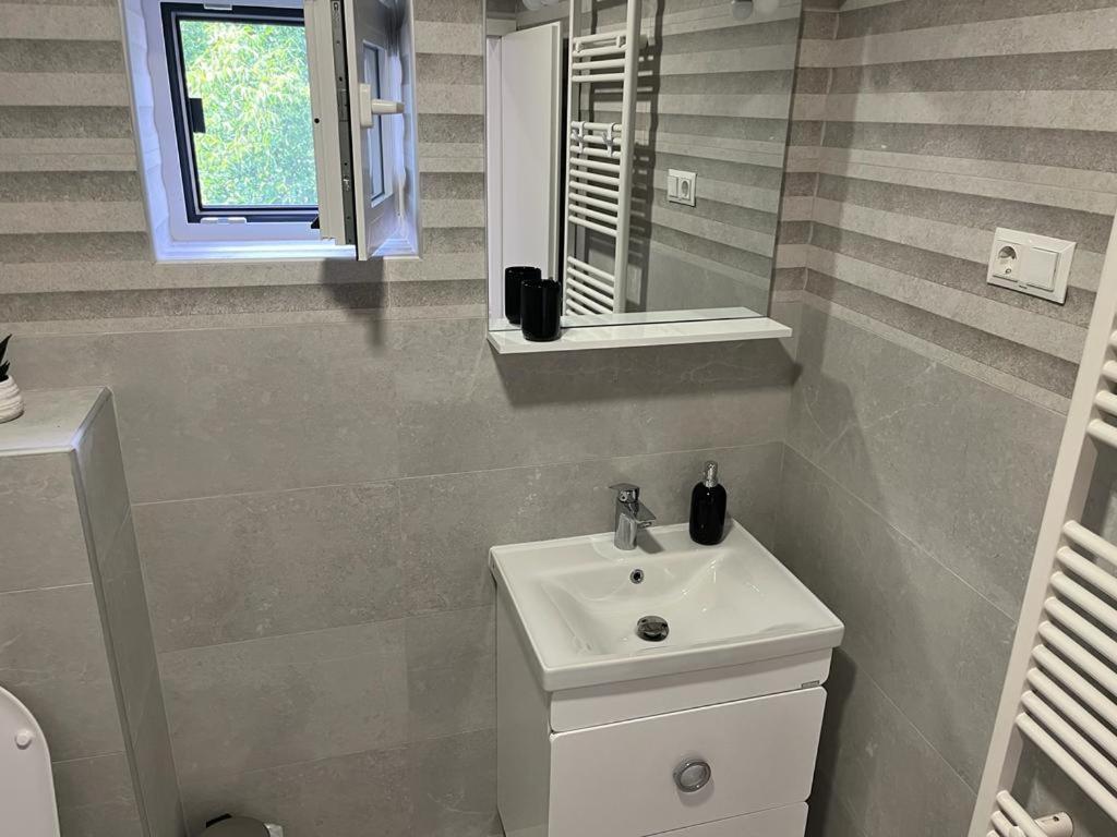 Sabina Apartaments Sfântu-Gheorghe エクステリア 写真
