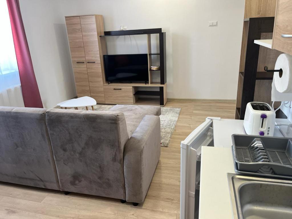 Sabina Apartaments Sfântu-Gheorghe エクステリア 写真