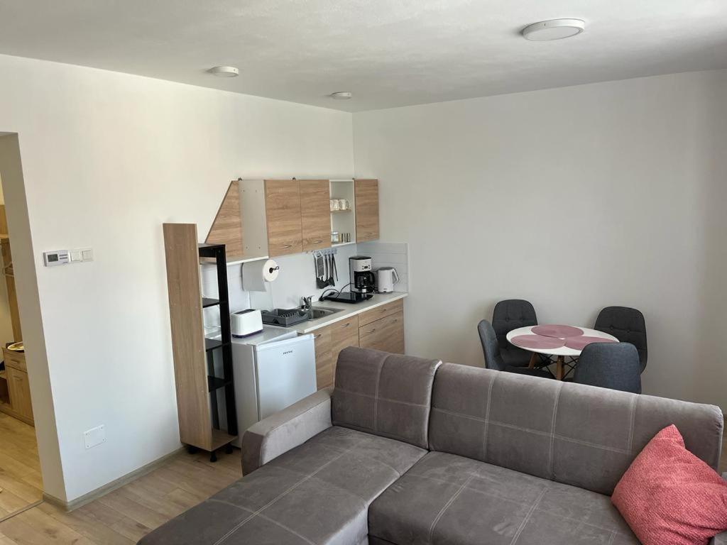 Sabina Apartaments Sfântu-Gheorghe エクステリア 写真