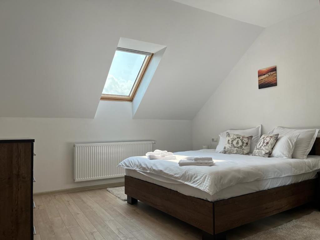 Sabina Apartaments Sfântu-Gheorghe エクステリア 写真