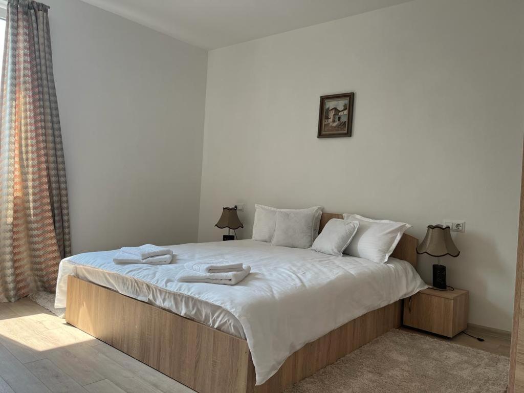 Sabina Apartaments Sfântu-Gheorghe エクステリア 写真
