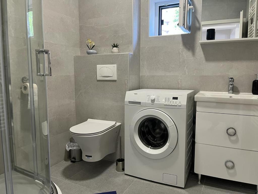 Sabina Apartaments Sfântu-Gheorghe エクステリア 写真