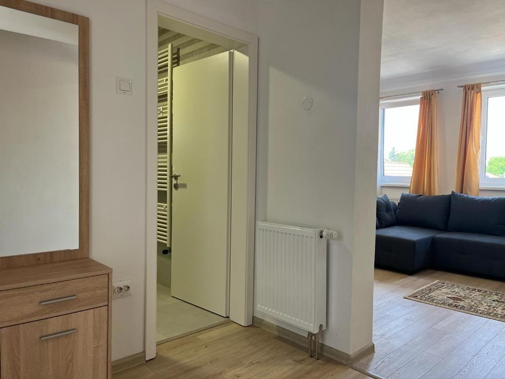 Sabina Apartaments Sfântu-Gheorghe エクステリア 写真