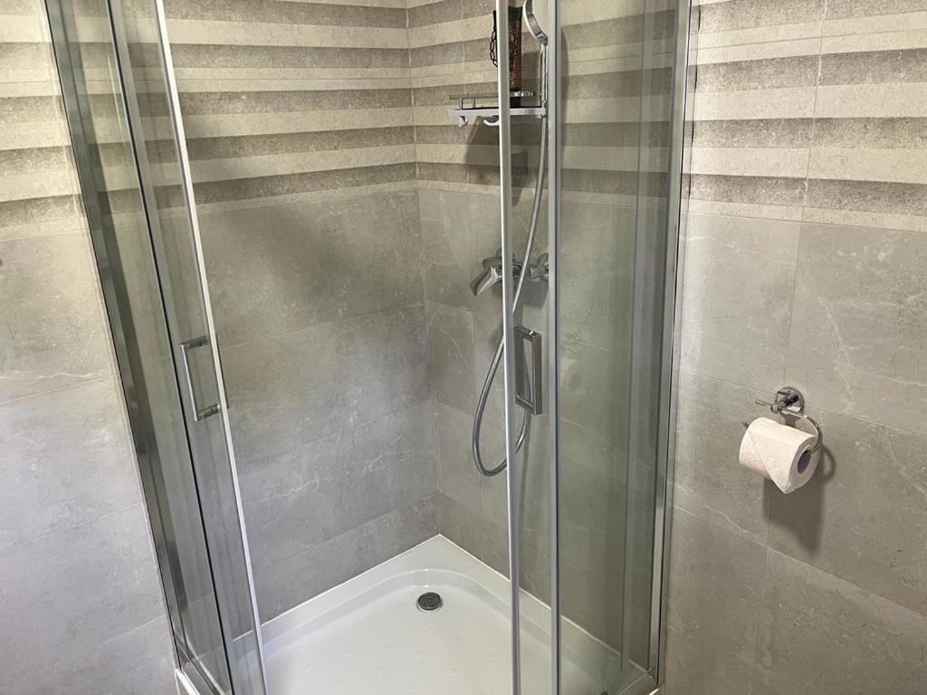 Sabina Apartaments Sfântu-Gheorghe エクステリア 写真