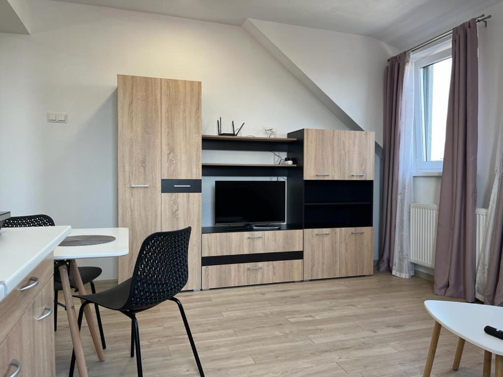 Sabina Apartaments Sfântu-Gheorghe エクステリア 写真