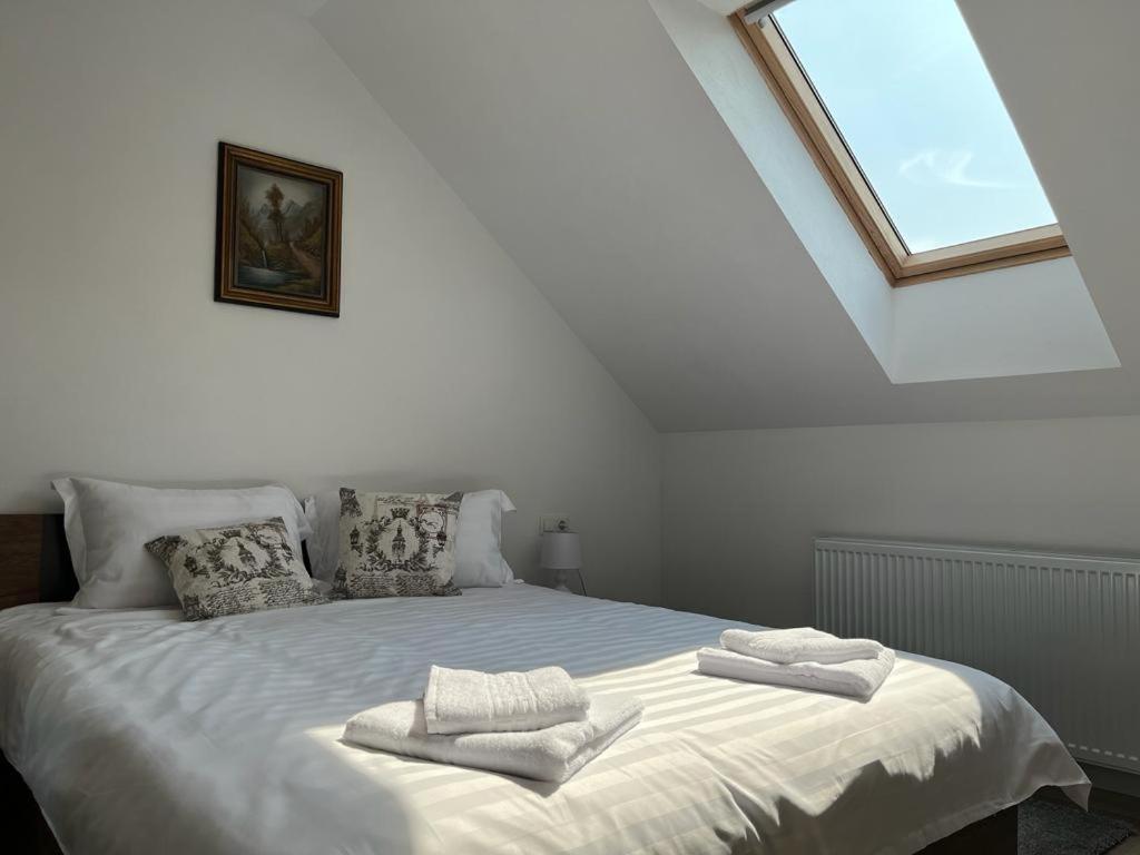 Sabina Apartaments Sfântu-Gheorghe エクステリア 写真