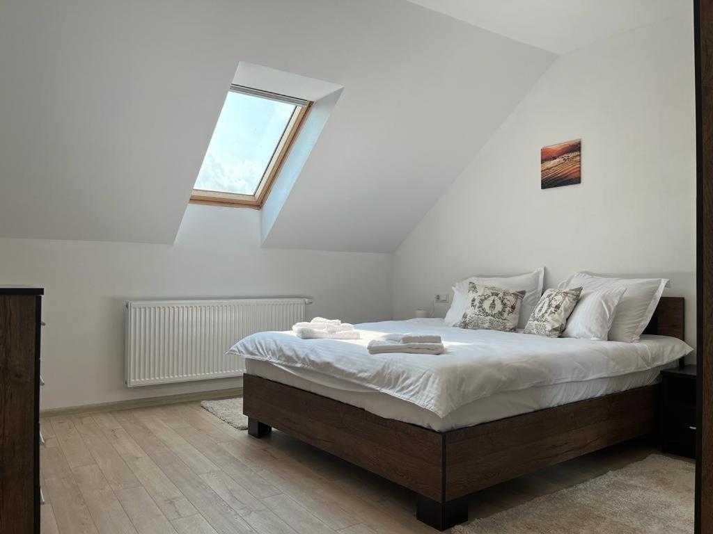 Sabina Apartaments Sfântu-Gheorghe エクステリア 写真
