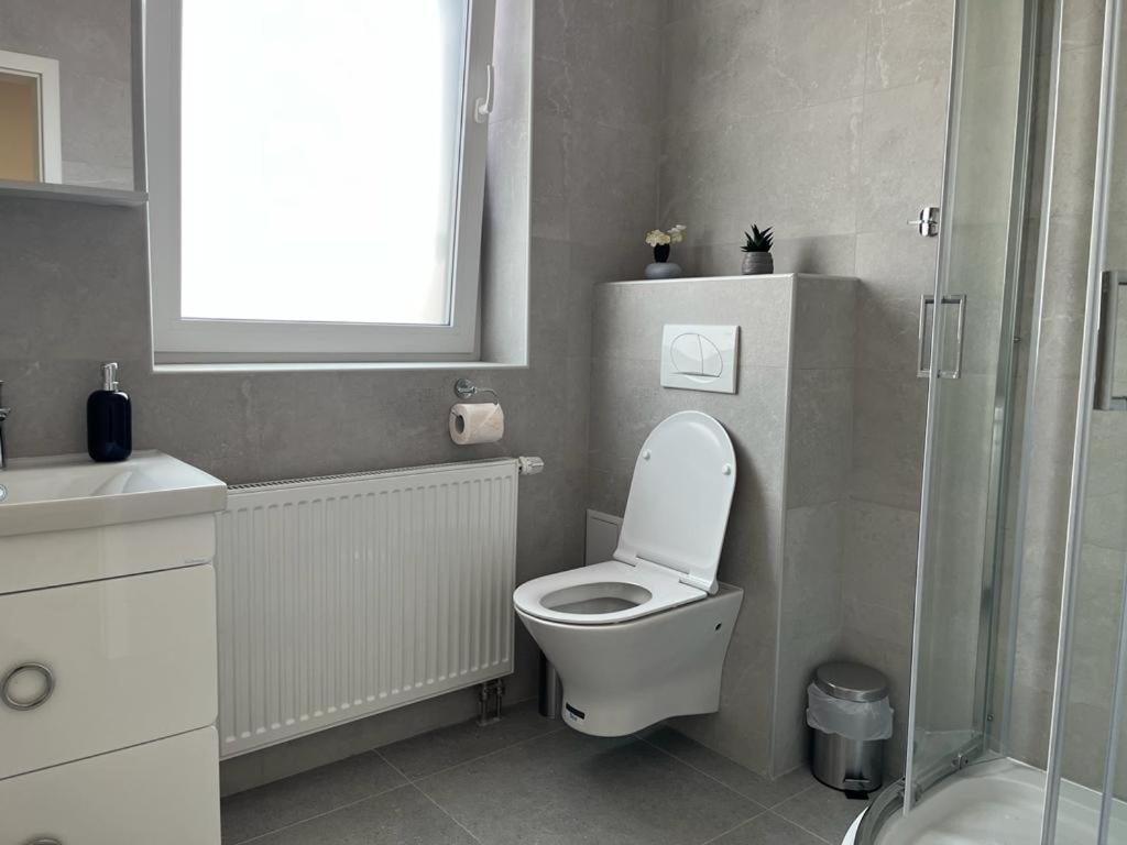 Sabina Apartaments Sfântu-Gheorghe エクステリア 写真