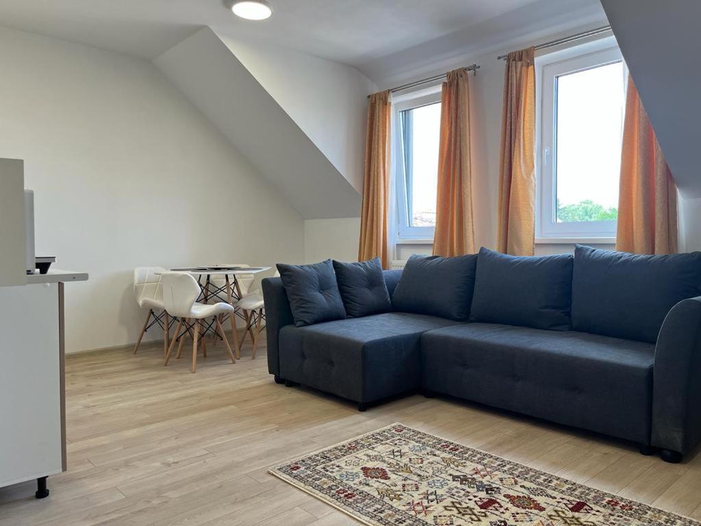Sabina Apartaments Sfântu-Gheorghe エクステリア 写真