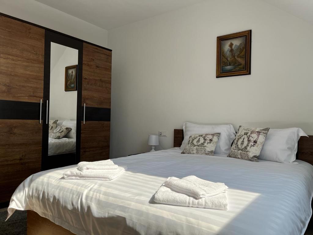 Sabina Apartaments Sfântu-Gheorghe エクステリア 写真